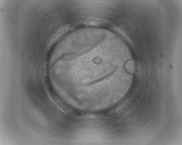 X0000085810738200704131946