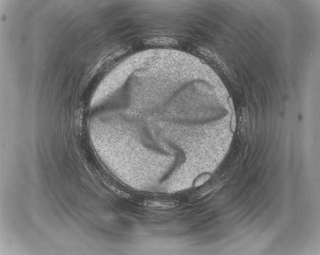 X0000085810739200704131946