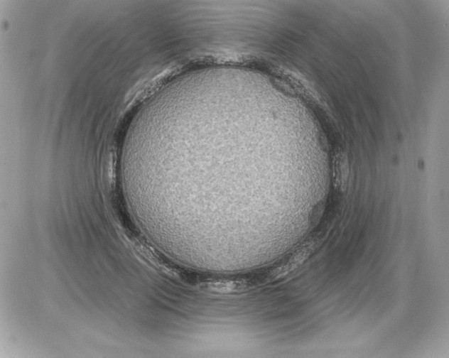 X0000085810740200704131946