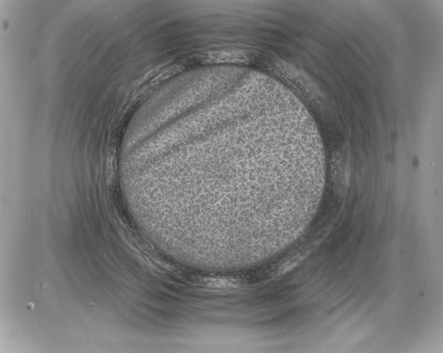 X0000085810741200704131946