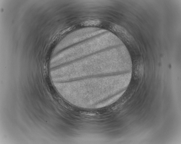 X0000085810743200704131946