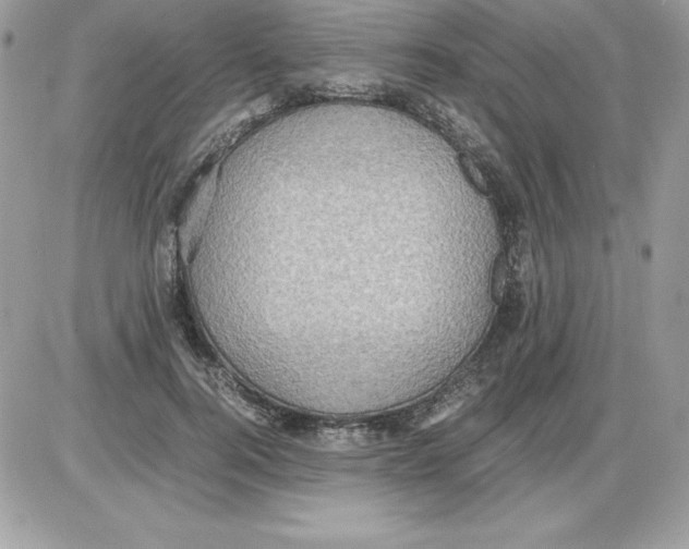 X0000085810744200704131946