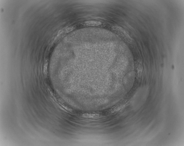 X0000085810745200704131946