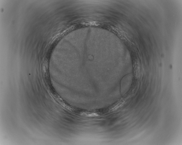 X0000085810747200704131946