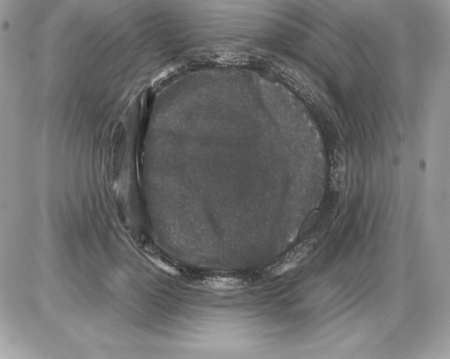 X0000085810748200704131946