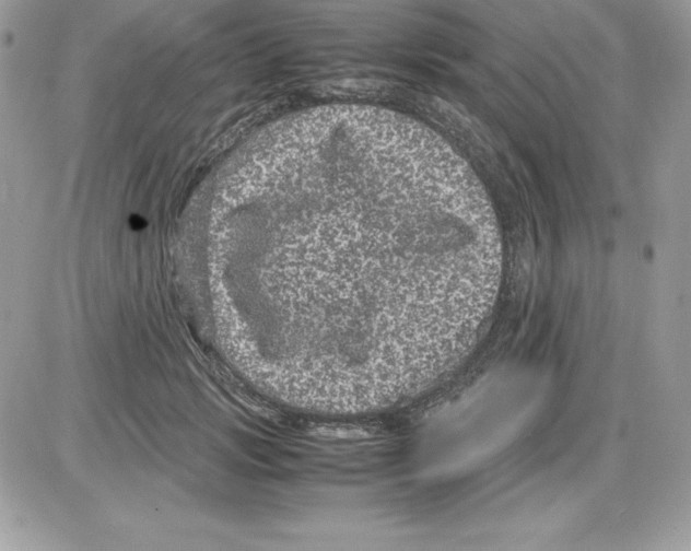 X0000085810749200704131946