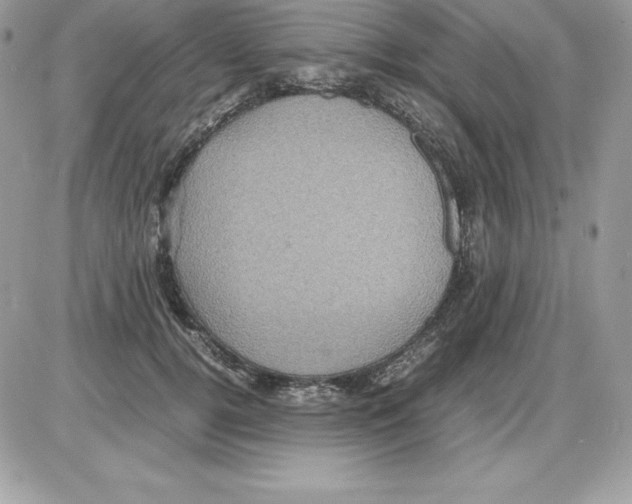 X0000085810752200704131946