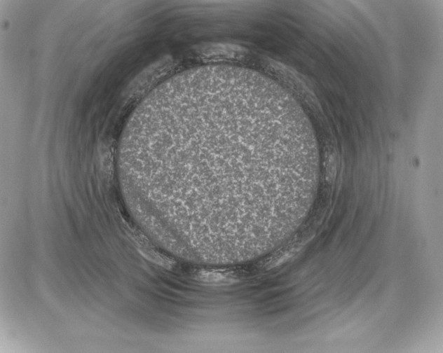 X0000085810753200704131946