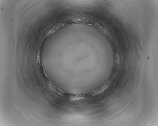 X0000085810754200704131946