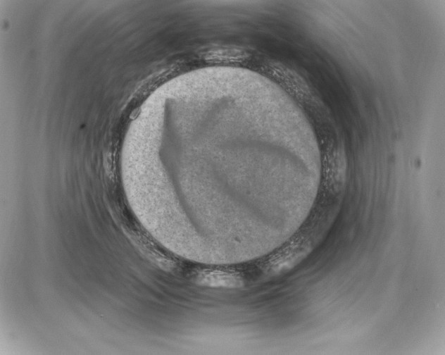 X0000085810755200704131946