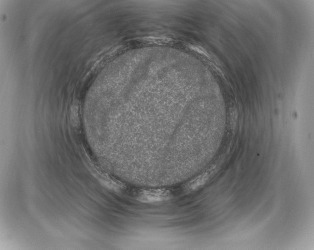 X0000085810757200704131946