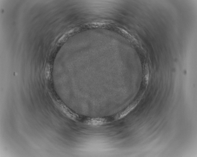 X0000085810758200704131946