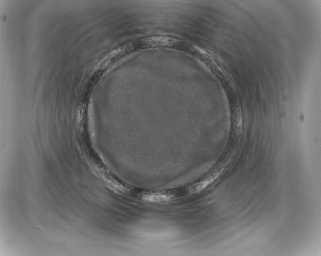 X0000085810759200704131946