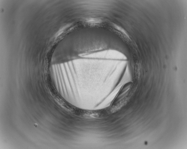 X0000085810760200704131946