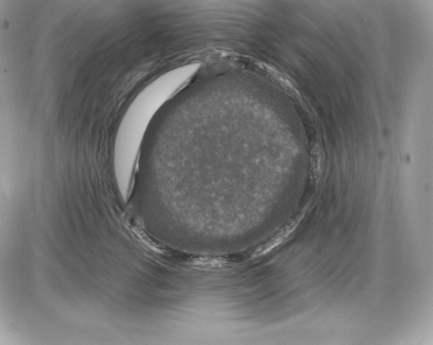 X0000085810762200704131946