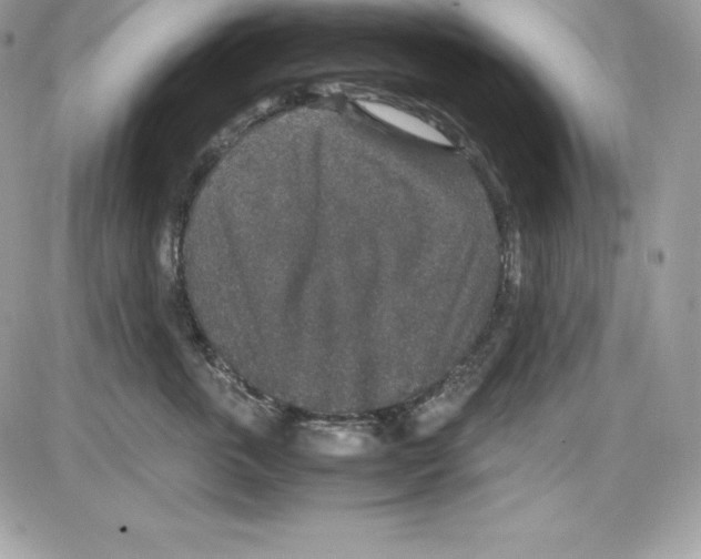 X0000085810763200704131946