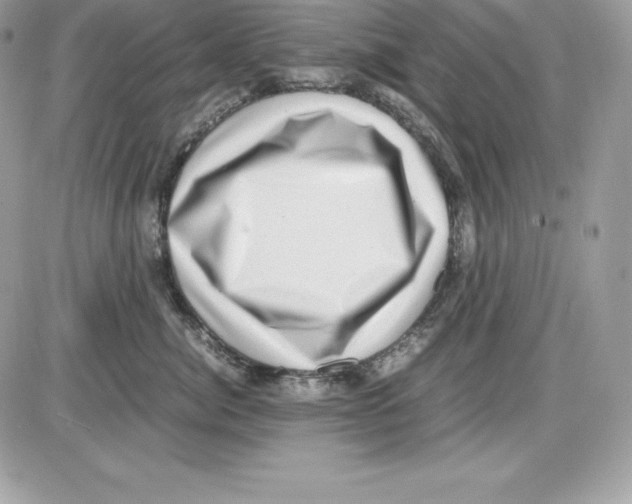 X0000085810764200704131946