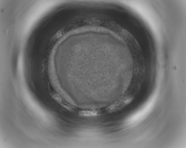 X0000085810765200704131946