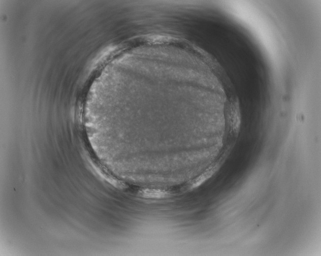 X0000085810766200704131946