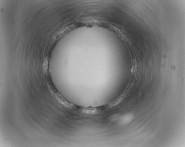 X0000085810767200704131946