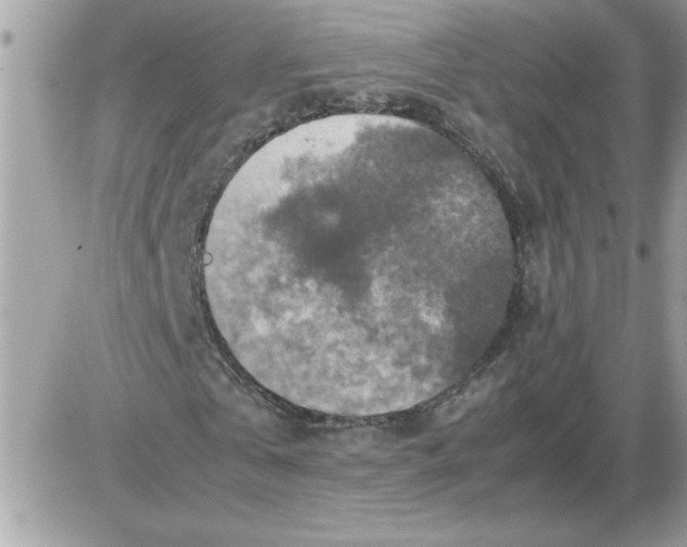 X0000085810769200704131945