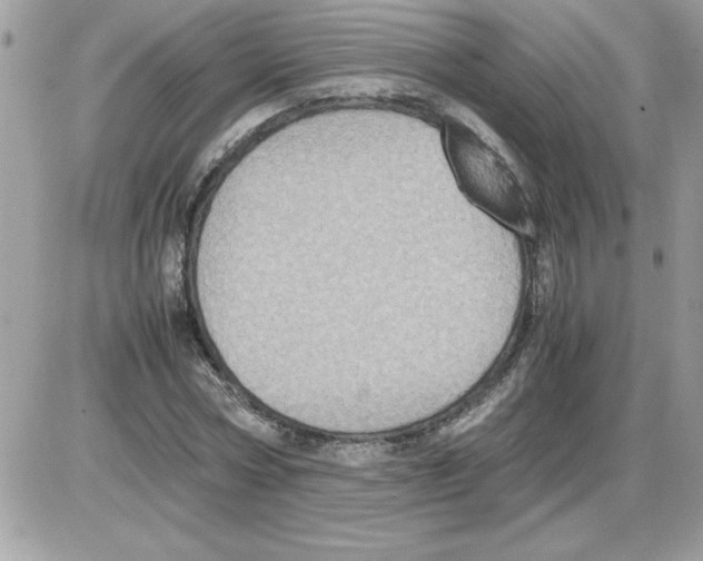 X0000085810778200704131945