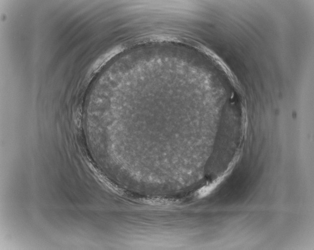 X0000085810785200704131945