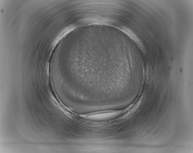 X0000085810790200704131945