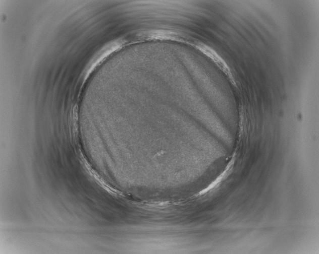 X0000085810798200704131945