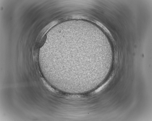 X0000085810801200704131945