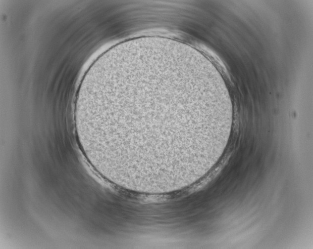 X0000085810808200704131945