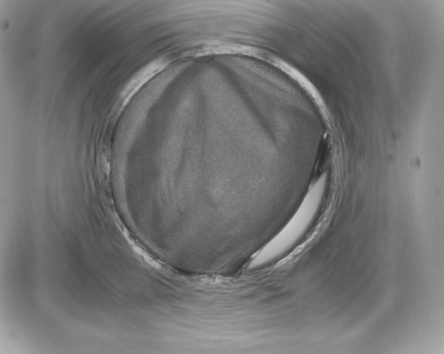 X0000085810809200704131945