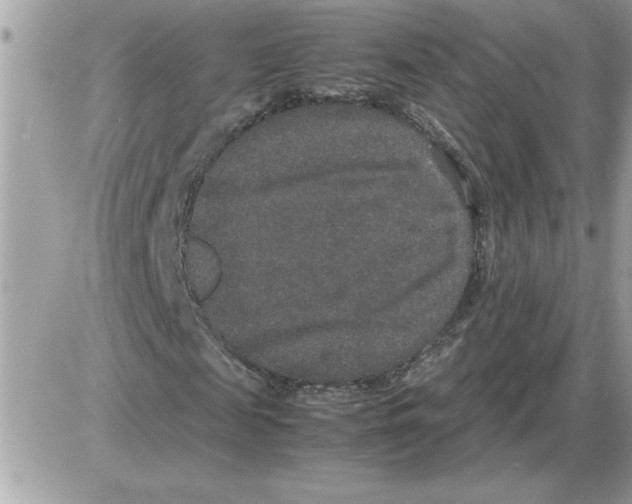 X0000085810817200704131944