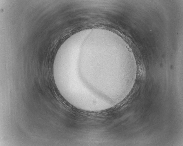 X0000085810820200704131944