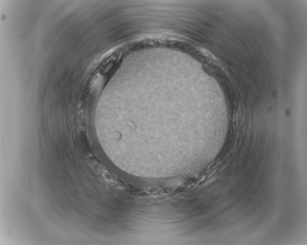 X0000085810822200704131944