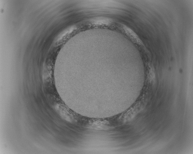 X0000085810824200704131944