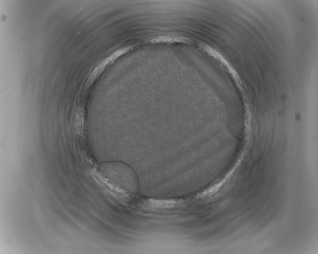 X0000085810825200704131944