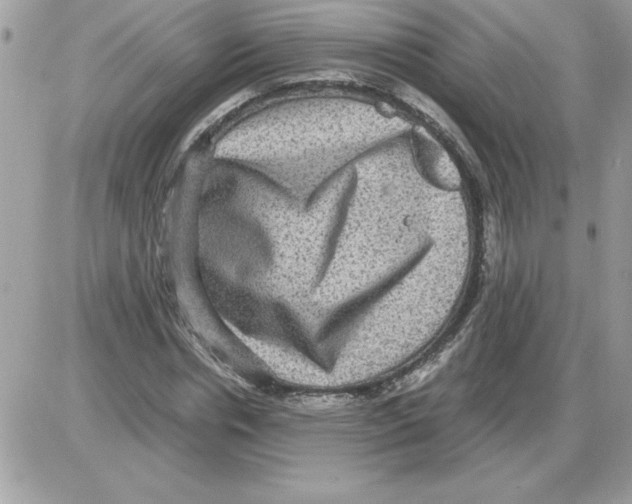 X0000085810826200704131944