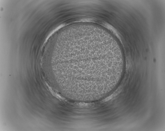 X0000085810827200704131944