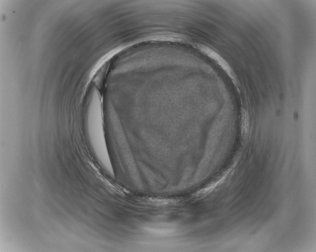 X0000085810829200704131944