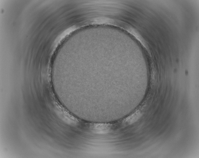 X0000085810832200704131944