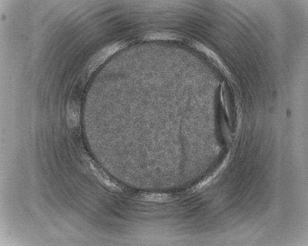 X0000085810833200704131944