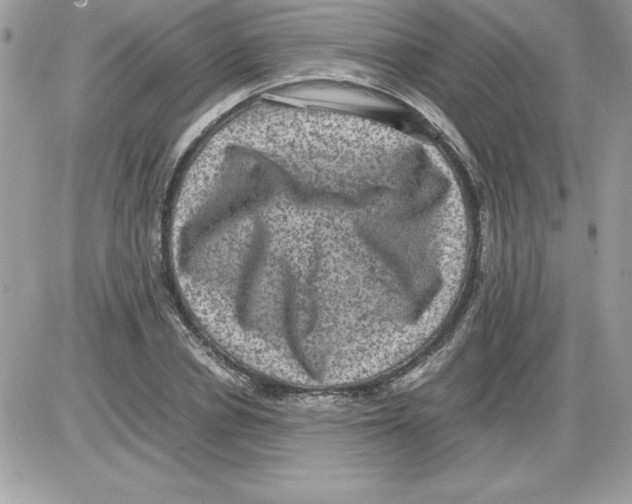 X0000085810834200704131944