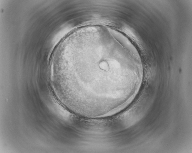 X0000085810836200704131944