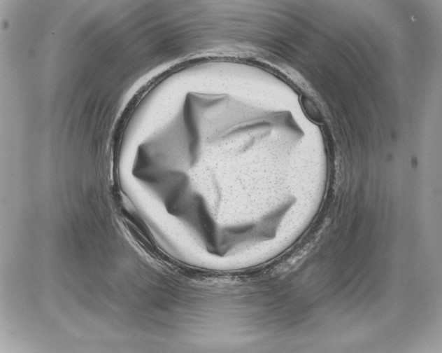 X0000085810838200704131944