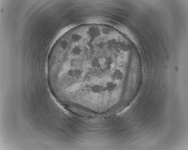 X0000085810839200704131944