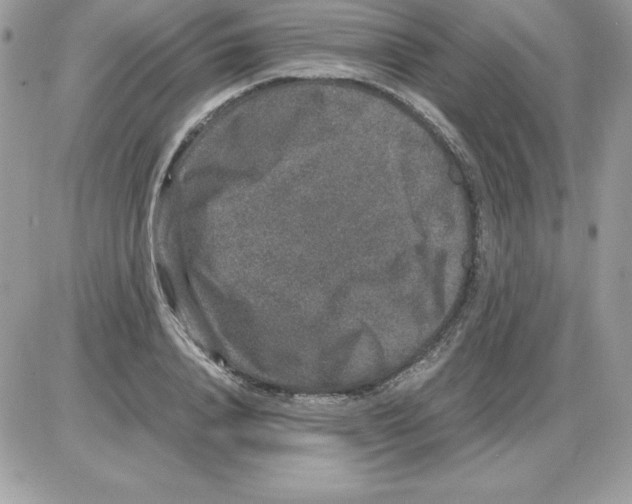 X0000085810840200704131944