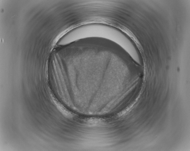 X0000085810842200704131944