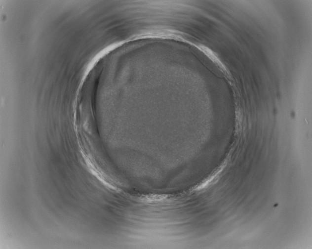 X0000085810846200704131944