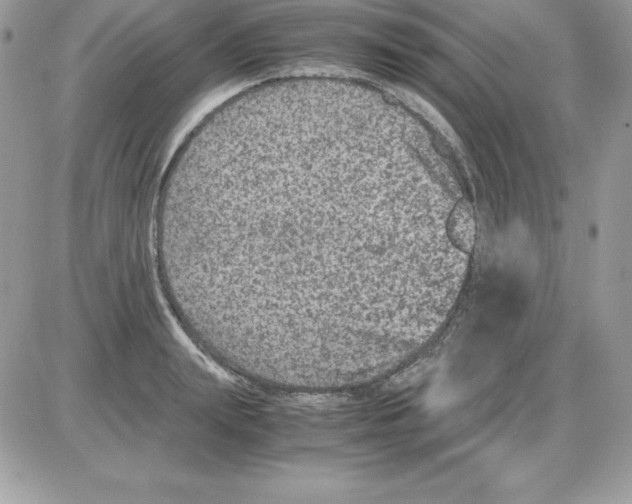 X0000085810847200704131944